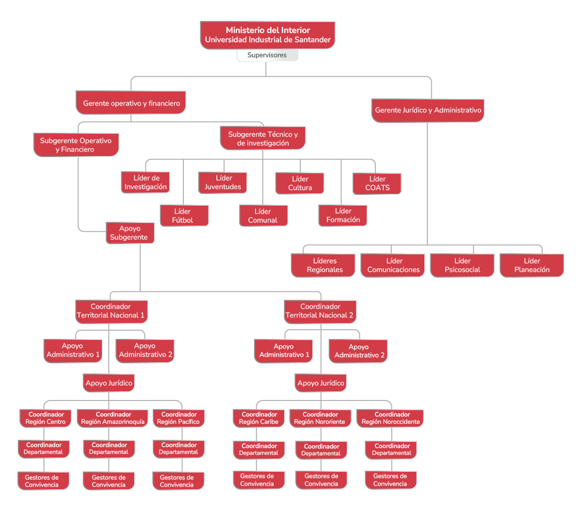 organigrama- estructura SNCPV
